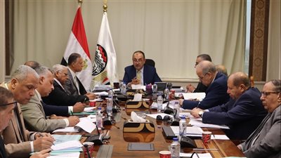 وزير قطاع الأعمال العام يتابع خطط العمل التنفيذية لشركات 