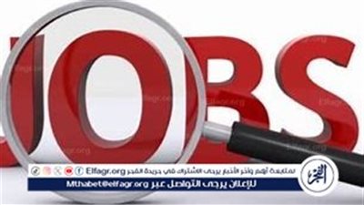 مشروع شبابنا: فرص عمل جديدة من حزب مستقبل وطن