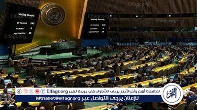 الجمعية العامة للأمم المتحدة تدعو إلى احترام قرارات الدول الأعضاء بما في ذلك روسيا