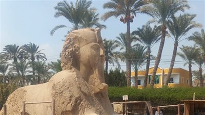 بدء أعمال ترميم تمثال أبو الهول بالحديقة المتحفية بمنطقة آثار ميت رهينة