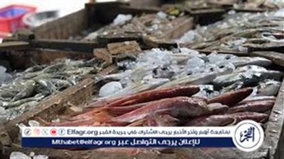 أسعار المأكولات البحرية والجمبري اليوم الخميس 10-10-2024 في محافظة الدقهلية 