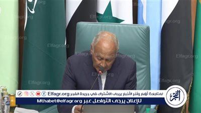 أبوالغيط: وقف إطلاق النار بغزة أصبح مطلبا عالميا يحظى بإجماع مشهود (فيديو)