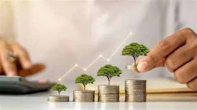 خبير اقتصادي: الحكومة لا تسعى لرفع الأسعار الضريبية