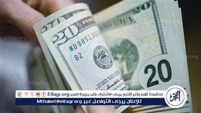 الدولار يستقر أمام الجنيه المصري: تفاصيل الأسعار اليوم 11 سبتمبر 2024