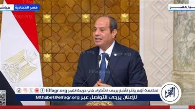 السيسي: زيارة الرئيس الألماني تمثل إضافة كبيرة للعلاقات المصرية الألمانية