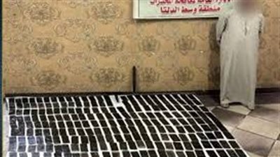 ضبط 24 كيلو حشيش بقيمة 2 مليون جنيه فى المنوفية 