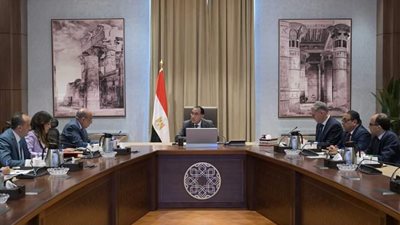 عاجل - رئيس الوزراء يتابع جهود توفير احتياجات قطاع الكهرباء من المنتجات البترولية وزيادة مساهمة نسبة الطاقة المتجددة