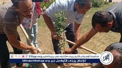 جهاز التطوير والتجميل بالإسماعيلية يستكمل مبادرة زراعة الأشجار المثمرة بالمحافظة