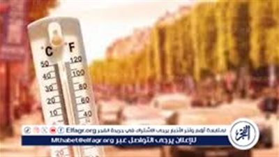 خبير بيئي يكشف سبب ارتفاع درجات الحرارة في فصل الربيع بمصر (فيديو)