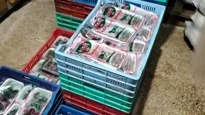 ضبط 12 طن مخصبات زراعية و250 كيلو لحوم مجهولة المصدر بالشرقية