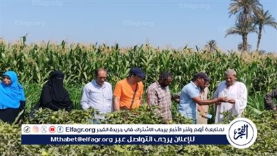 محافظ الفيوم: إزالة 246 حالة تعدٍ بالبناء على الأراضي الزراعية بمساحة 12 فدانا خلال شهر أغسطس