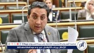 برلماني ينتقد حضانة الأطفال في قانون الأحوال الشخصية الحالي (فيديو)