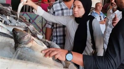 تموين المنوفية: ضبط 33 كيلو أسماك غير صالحة وتحرير 23 محضرا