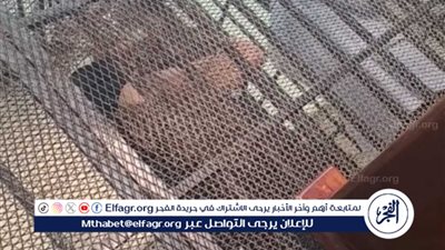 احمد ياسر المحمدي ينفعل أثناء تواجده في قفص الاتهام، ووالدته تحاول تهدئته (صور)