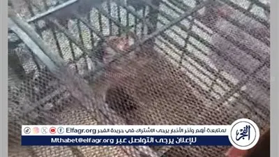 وصول والدة وشقيقه اللاعب أحمد ياسر المحمدي لحضور جلسة محاكمته (صور)