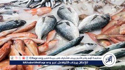 أسعار المأكولات البحرية والجمبري اليوم الاثنين 14-10-2024 في محافظة الدقهلية 