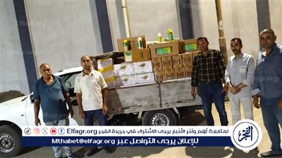 تحرير 650 مخالفة تموينية متنوعة بالفيوم خلال أسبوع