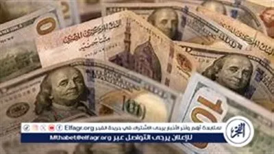 استقرار سعر الدولار مقابل الجنيه المصري في تعاملات اليوم الخميس 19 سبتمبر 2024