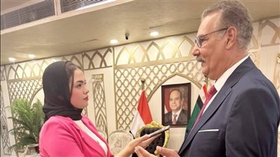 المستشار زين الهواري: دستور 2014 وضع ضوابط صارمة لحماية المال العام (حوار)