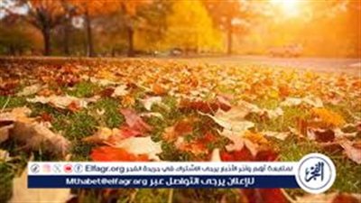  انتظار أول نسمة باردة.. متى يبدأ الخريف ويغير ملامح الطقس؟