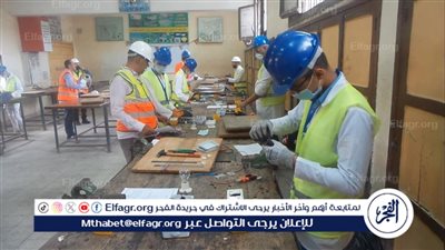 أستاذ مناهج: التعليم التطبيقي والتكنولوجي في مصر يرتبط بدول متقدمة