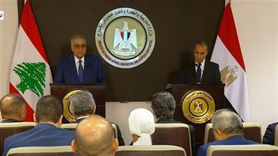 بيان مصري-لبناني مشترك يدين الغارات الإسرائيلية على جنوب لبنان ويدعو لوقف العدوان 