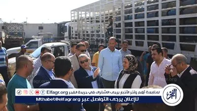 محافظ الإسماعيلية يمر على مستودعات البوتاجاز بأبوبلح والضبعية