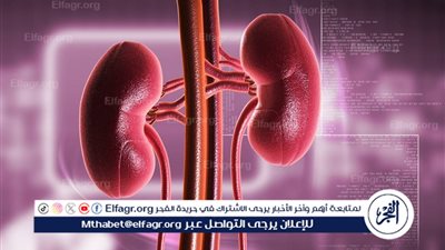 أمراض الكلى: الأسباب والأعراض وطرق العلاج