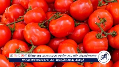 الطماطم: فوائدها، أضرارها، واستخداماتها المتنوعة