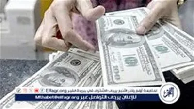 سعر الدولار مقابل الجنيه المصري: استقرار في بداية تعاملات 24 سبتمبر 2024