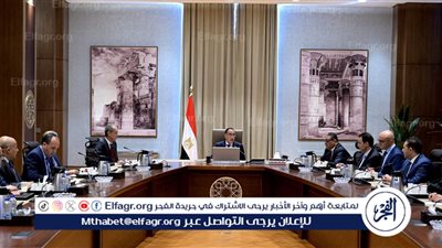 عاجل - رئيس الوزراء: قضايا الأمن السيبراني أصبحت أساسية بمنظومة الأمن القومي للدول