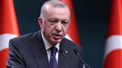 الرئاسة التركية: أردوغان أبلغ غوتيريش أن مرحلة جديدة تتم إدارتها بهدوء في سوريا