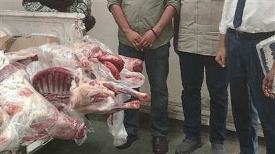 بيطري المنوفية: ضبط أربع ذبائح ضأن مذبوحة خارج المجازر وغير صالحة للاستهلاك الآدمى بالسادات