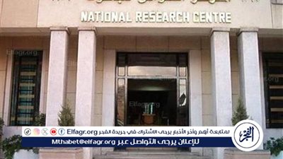 عاجل - تساوي الليل والنهار في القاهرة.. حدث فلكي مميز في هذا الموعد