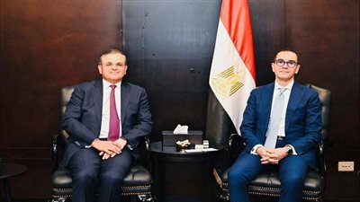 وزير الاستثمار و