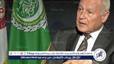 أحمد أبو الغيط يدعو لوقف العدوان الإسرائيلي على لبنان وغزة