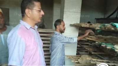 محافظ المنيا: ضبط 183 مخالفة خلال حملات تفتيشية تموينية مكبرة على المخابز والأسواق