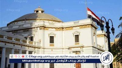 بعد تشكيلها.. ننشر اختصاصات لجنة التضامن الاجتماعي والأسرة والأشخاص ذوي الإعاقة