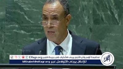 وزير الخارجية: مصر تسعى لدفع عجلة التنمية في القارة الأفريقية
