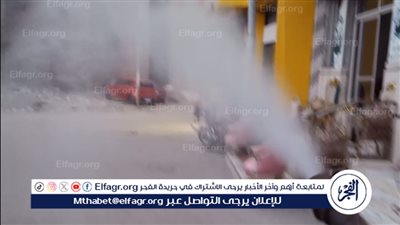 جهود مكثفة لمكافحة الذباب والبعوض وناقلات الأمراض بصحة الدقهلية