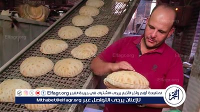 محافظ الدقهلية يحيل 181محضرا بمخالفات المخابز والرقابة على الأسواق للنيابة العامة