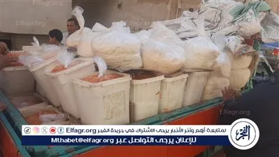 ضبط 2000 كيلو خامات تصنيع الشرش والجبنة القديمة فاسدة