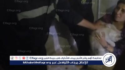 لفتة إنسانية.. الحماية المدنية تنقذ قطة عالقة  ببرج سكني بالفيوم