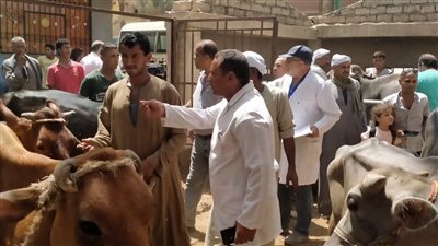 انطلاق الحملة القومية للتحصين ضد الحمى القلاعية والوادي المتصدع بالجيزة