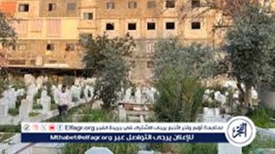 قصف عنيف لمقابر البشورة في لبنان (فيديو)