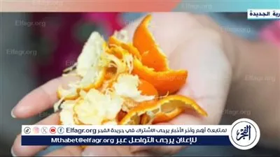 تقاوم الزهايمر والسرطان| استشاري تغذية تكشف أهمية تناول قشور الفاكهة