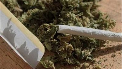 حبس المتهمين بزراعة أرض بمخدر البانجو وحيازة أسلحة وذخيرة في الواحات 