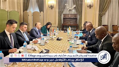 انعقاد جولة المشاورات السياسية بين مصر وكوت ديفوار بالقاهرة (صور)