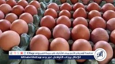 أسعار البيض اليوم الجمعة 6-10-2024 في الدقهلية
