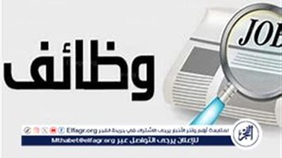 وظائف وزارة المالية 2024: فرص عمل في مصلحة الجمارك وشروط التقديم